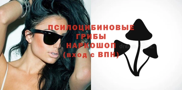 spice Абинск