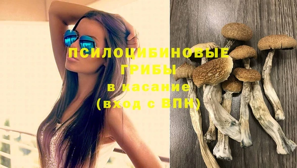 СК Абаза